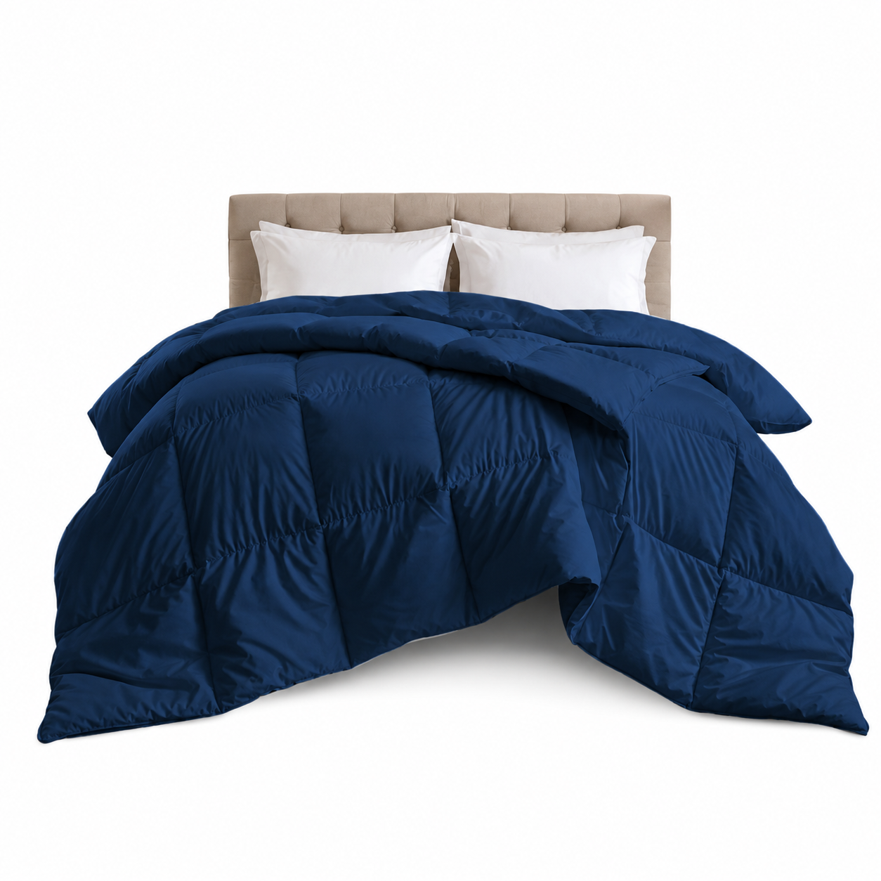 #color_navy