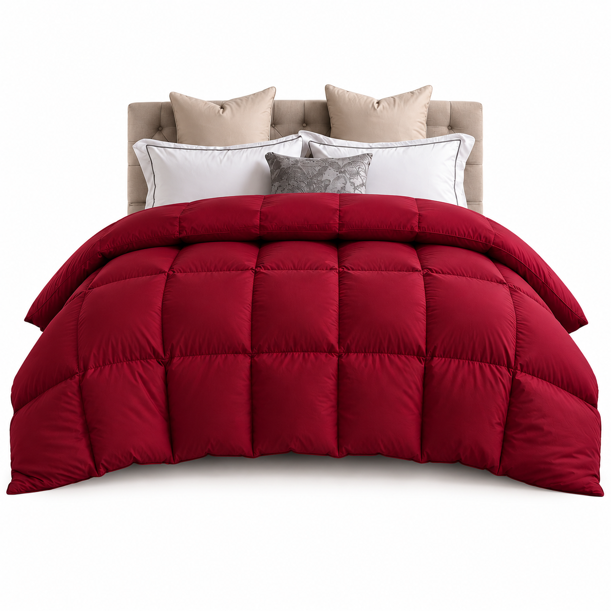 #color_burgundy
