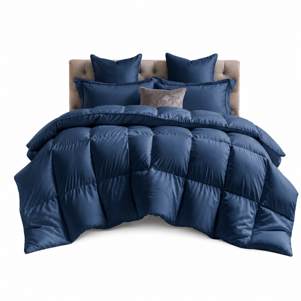 #color_navy