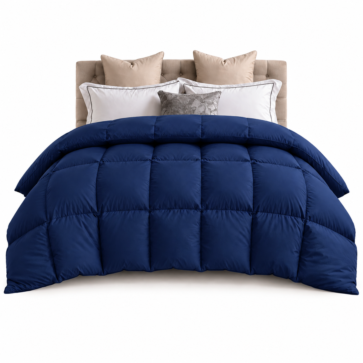 #color_navy